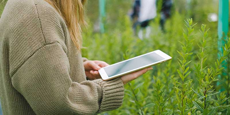 Agricultural Farm Environmental Monitor Screen
