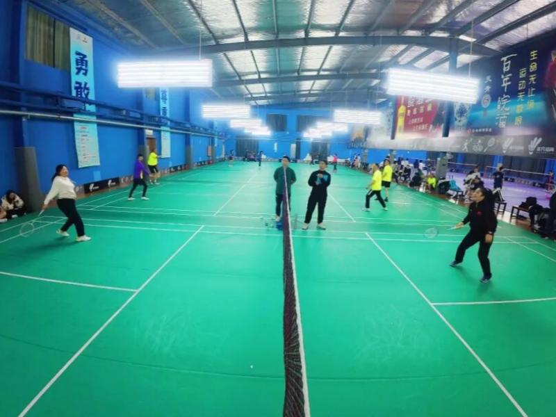 DJN Badminton League Women Singles.jpg