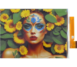 Full-Color Epaper Display